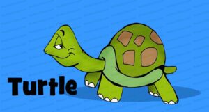 MDL044 - EN - Conflict Mode Instrument - 03 - Avoid - Turtle4 - Text