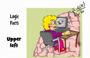 MDL102 - EN - Whole Brain Model - Q2 - Upper Left - Matrix - Text